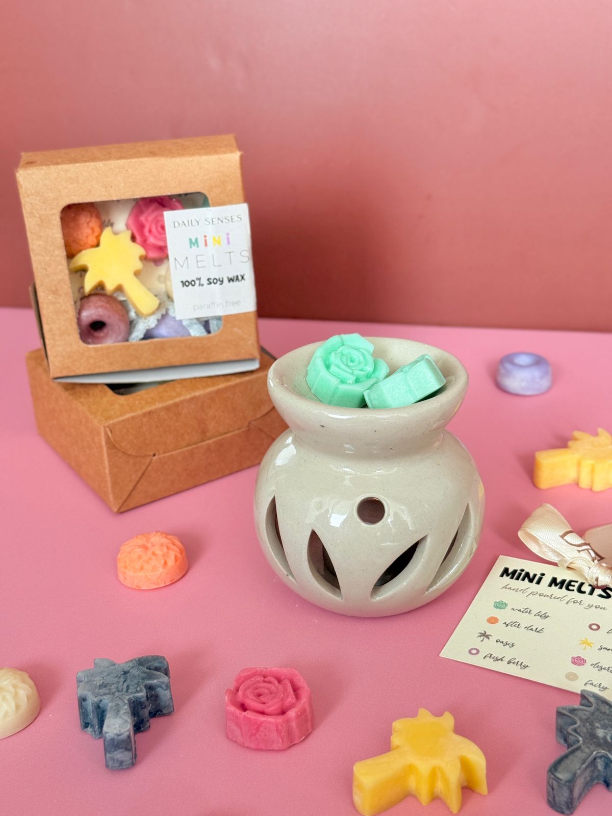 Assorted Mini Soy Wax Melts (pack of 10)
